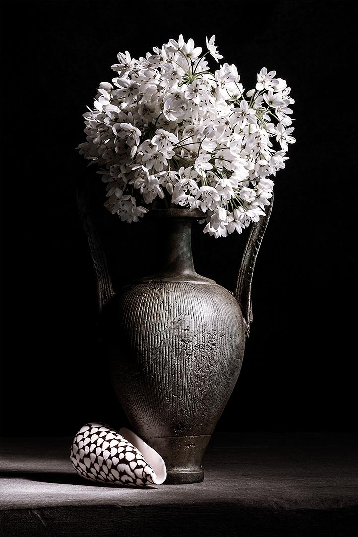 Tristan Dark Greek Vase With White Wild Flowers DSC1634