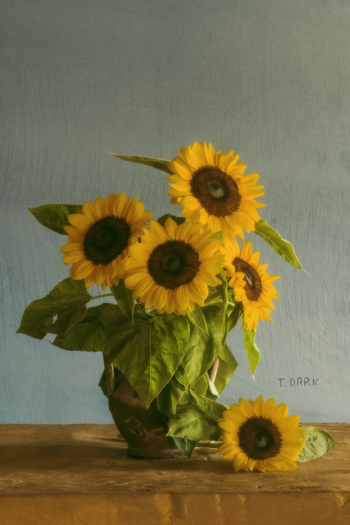Tristan Dark Sunflowers Tribute To Van Gogh DSC 1836