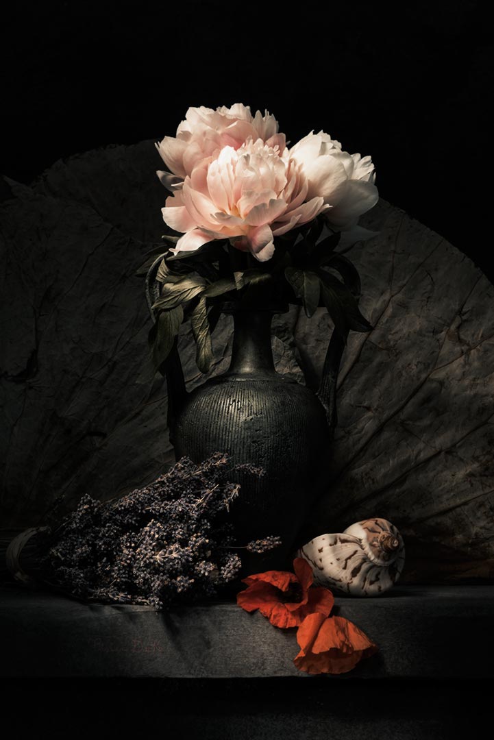 Tristan Dark Vanitas Vase Peonies Lavender Wild Poppies DSC1949