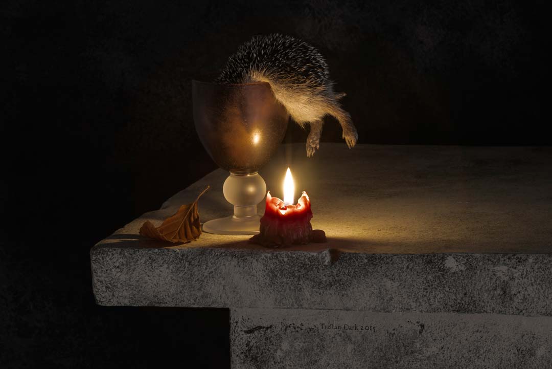 Candle Porcupine Tristan Dark Vanitas DSC 0248
