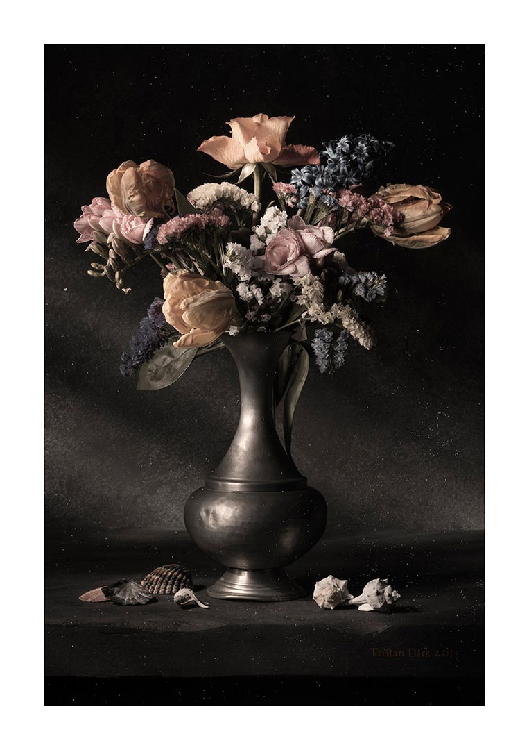 Still Life With Flowers and Shells