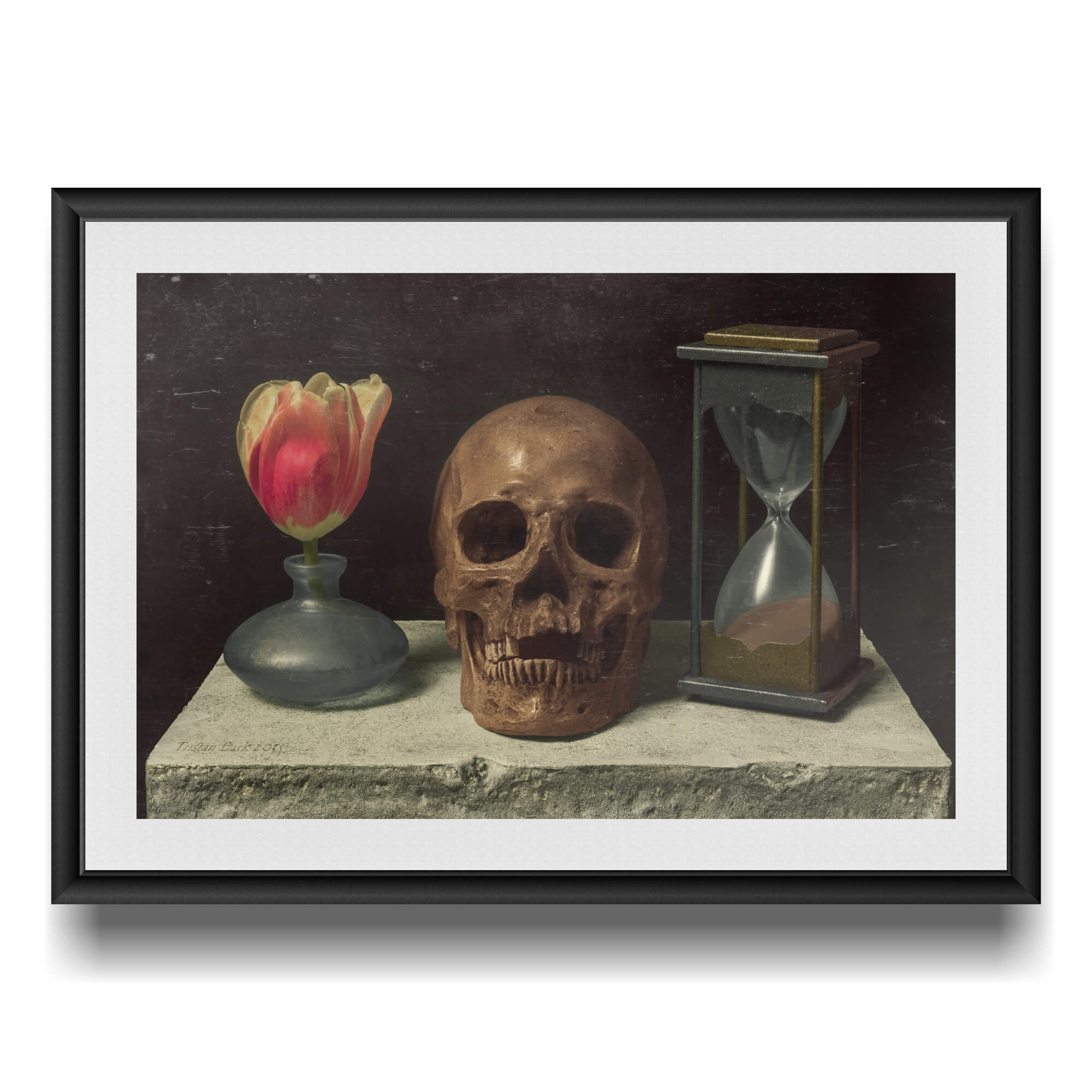 Still life with skull, tulip and hourglass