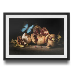 Still life with rotten pomegranates and butterfly
